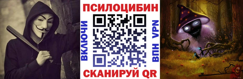 Купить  Заречный  Псилоцибиновые грибы Cubensis 